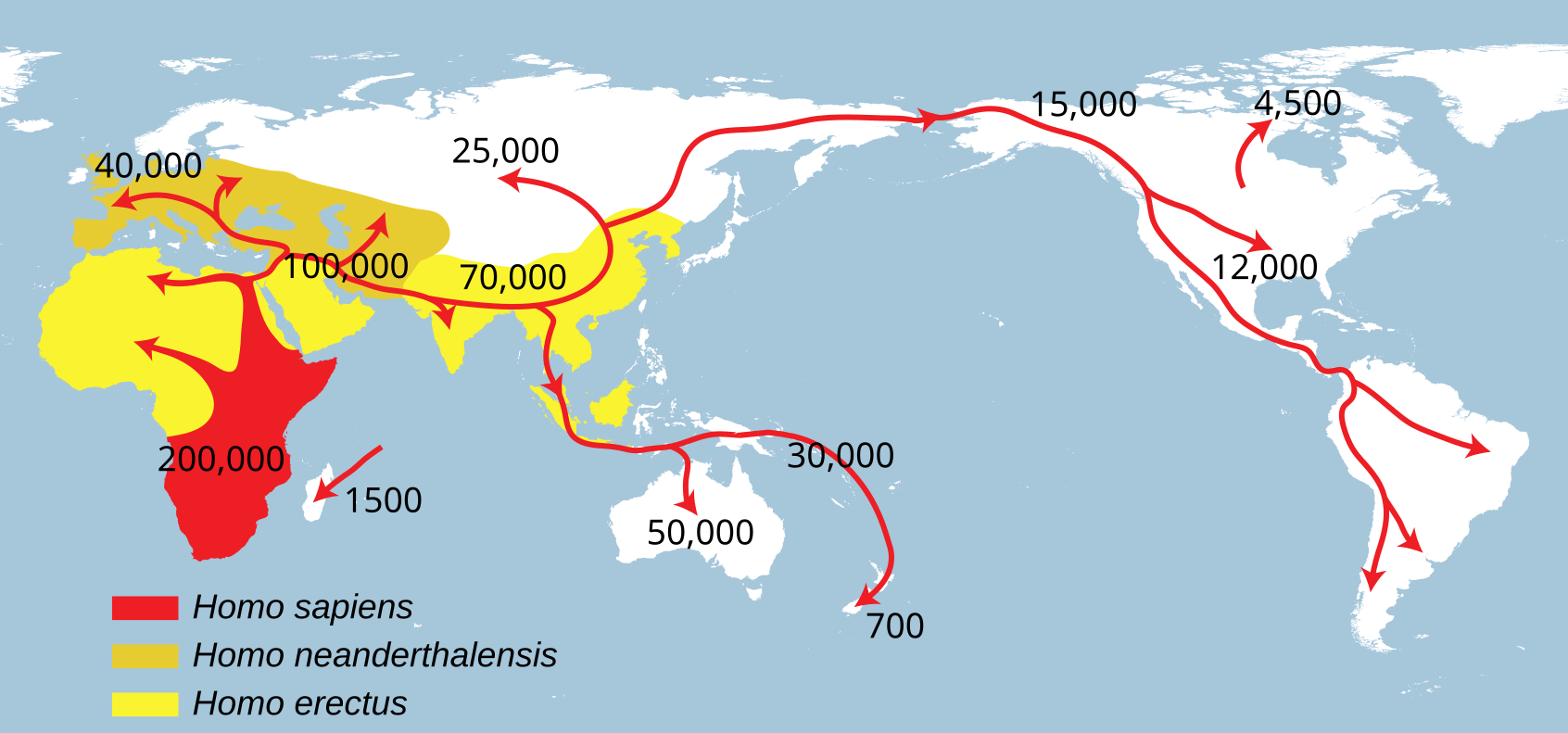 Spreading homo sapiens la